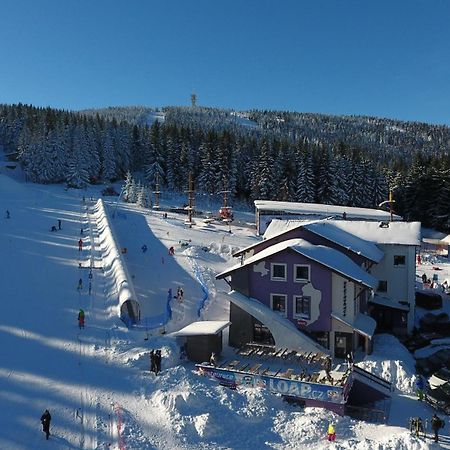 Pension Max Klinovec Loučná pod Klínovcem Exterior foto
